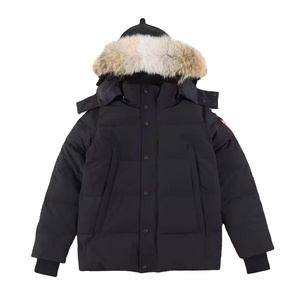 Chaquetas de Invierno Personalizadas para Hombre al por Mayor, Chaquetas de Invierno Cálidas de Primera Calidad para Exteriores, Estilo Urbano, con Capucha, 2026 - Product Image 1