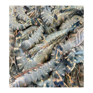 Camarones Tigre Negros Congelados BQF a Precio Económico, Listos para Comercio al por Mayor con Calidad Consistente - Product Image 2