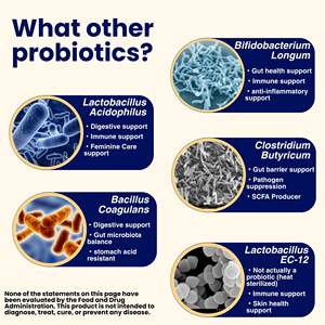 ผง kefir แบบญี่ปุ่น | สำหรับการย่อยอาหารภูมิคุ้มกันและสุขภาพผิว - Product Image 3
