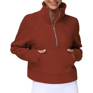 Sweat-shirts à capuche décontractés de haute qualité pour femmes, en molleton de coton épais, respirant, séchage rapide, streetwear avec votre propre logo - Product Image 1