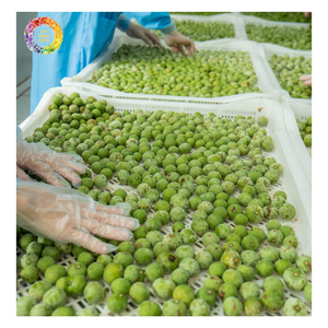 Dracontomelon Congelado en Fruta Entera IQF para Recetas de Bebidas y Uso Culinario, Dracontomelon Ácido Congelado en Fruta Entera IQF - Product Image 6