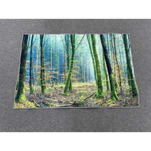 Alfombra con Estampado Natural: Verde, Fácil de Limpiar, Estilo Rústico, para Cocina, Oficina, Grande, con Pelo Suave - Product Image 1