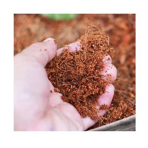 Wholesale Grow Medium <b>Brick</b> Soil Compress Coconut Peat Cocoa Grow Coco Coir Block - Product Image 2