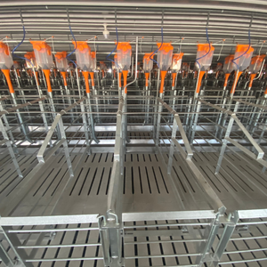 L'équipement le plus vendu pour les caisses de gestation pour porcs est fabriqué en acier inoxydable 304 durable, durable et résistant à la chaleur Mavinex - Product Image 5