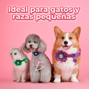 Collar para Perro Ajustable con Diseño de Corazones y Estrellas, Correa de Poliéster Cómoda y Elegante en Varios Colores - Product Image 3