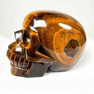 Hoge Kwaliteit Kristal Grote Schedel Ambacht Hand Gesneden Gele Tijgeroog Schedel Menselijk Hoofd Schedel Voor Genezing - Product Image 3