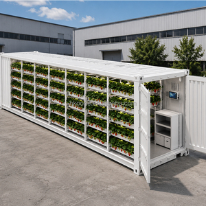 Turnkey Project 40ft Hydroponic Strawberry Shipping Container for Professional Agriculture with Automatic Nutrient System - Product Image 1