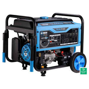 Générateur portable Pulsar CO Sentry Series avec capteur de monoxyde de carbone - PG13000BRCO - Product Image 1