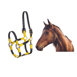Licou cheval en PVC de bonne qualité, équipement équitation étanche, licou cheval disponible au prix de gros - Product Image 3