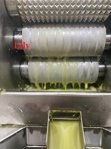 Caña de Azúcar Congelada de Alta Calidad en Tambores o Botellas - Certificación HACCP e ISO - 100% Caña de Azúcar - Almacenamiento a -18°C - Lily - Product Image 4