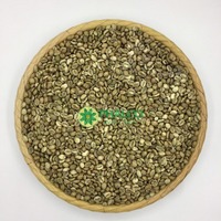Café Robusta Vietnamien S13 S16 S18 Emballage en Sac de Jute Vert Grade 1 Tamis 16/18 Certifié ISO HACCP PHALCO CF