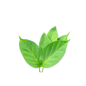 ใบสดจากสมุนไพรคุณภาพระดับพรีเมี่ยมสำหรับอาหารรสเลิศและการรักษาแบบดั้งเดิม - Product Image 3