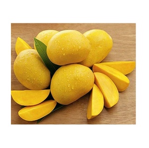 Fresh <strong>Mangoes</strong> <strong>for</strong> <strong>Sale</strong> at Low Rates Perfectly Ripe and Sweet <strong>Mangoes</strong> Delivered Fresh and Fast to You