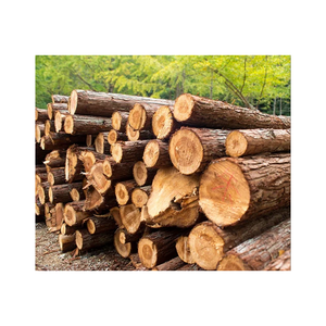 Madera de Pino LVL/LVB de Primera Calidad de Canadá con 5 Años de Garantía para Uso Hotelero - Product Image 1