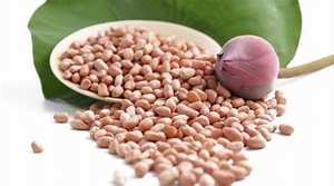 SUPERALIMENTO DE CACAHUETE NON GMO ETIQUETA LIMPIA NUTRICIÓN BASADA EN PLANTAS ENTERAS - Product Image 6