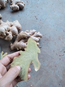 Việt Nam cây trồng mới không hạt chanh chanh bưởi tươi citrus trái cây với Giao hàng nhanh gừng bao gồm trong số lượng lớn số lượng - Product Image 6