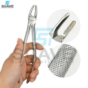 Equipo Dental al mejor precio Fórceps de extracción Dental Steeliness Fórceps de extracción Dental de acero por SUAVE INSTRUMENTS - Product Image 3