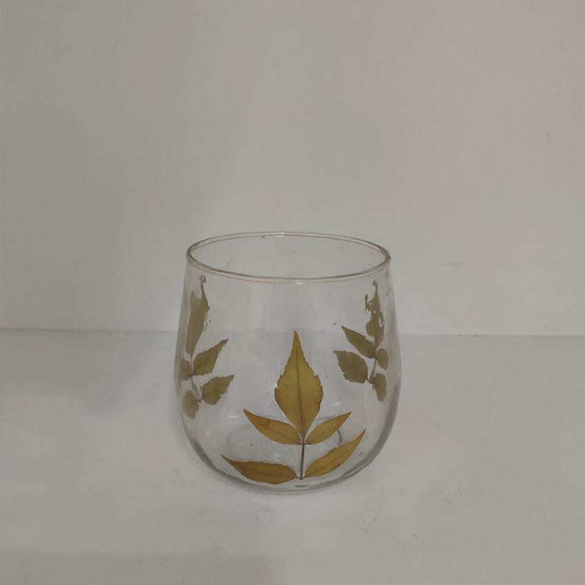 Plain Transparent Glass