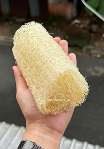 ชุดฟองน้ำใยบวบออร์แกนิค 3 ชิ้น แบบอัดนุ่ม บรรจุภัณฑ์แบบกำหนดเอง ใยบวบปลูกในฟาร์ม สำหรับขัดผิวกาย ผลิตในเวียดนาม - Product Image 2