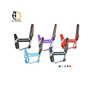 Cabestro Ajustable para Caballo, Ajuste Cómodo, Entrenamiento, Aseo, Cinta de Nailon Resistente, Hebillas de Cuero - Product Image 4