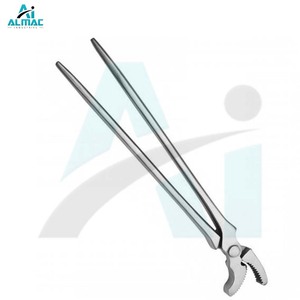 ALMAC Veterinary Tennyson Alligator Clinchers Herramientas de acero inoxidable Premium para odontología equina Cuidado veterinario de animales grandes - Product Image 3