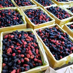Moras Congeladas DISPONIBLES para la Industria de Bebidas, Procesamiento y Aplicaciones Alimentarias, para Pedidos Personalizados al por Mayor, Vietnam - Product Image 5