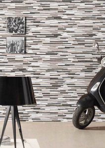 Carreaux muraux en porcelaine de 300x600 mm, série extérieure - Product Image 5