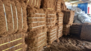 Coconut Fiber Whole Woven Raw Fiber- Using for Exporting High Quality and Best Price -Fabric Coco Fiber from Indonesia - Product Image 3