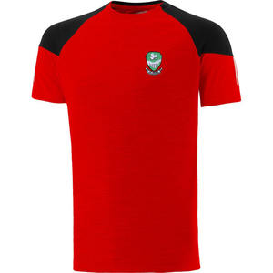 GAA Premium 100% Polyester Jersey Haute Performance Soccer Wear Solid Design Short Sleeve Players' Set - Product Image 1