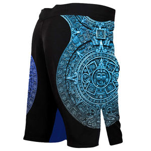 Pantalones Cortos de MMA Unisex de Color Sólido Personalizados de Última Tendencia, Impresión por Transferencia de Calor, Absorción de Humedad, Elásticos, Logotipo Personalizado BJJ, Mejor Venta - Product Image 1