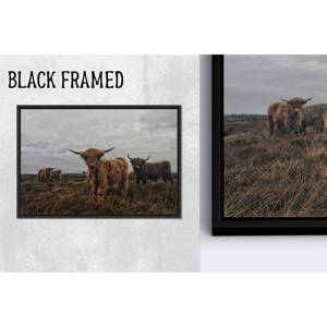 Highland Cow <b>Canvas</b> <b>Wall</b> Art: Printed <b>Canvas</b> Animal Decor,1P Blackframedcanvas - Product Image 1
