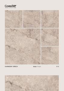 Collection de sous-verres 600x600mm Carreaux de sol et de mur en porcelaine mate Carreaux vitrifiés GVT PGVT pour intérieurs modernes pour chambre - Product Image 5