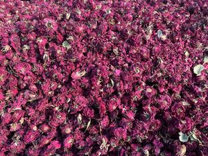 <b>Dried</b> Flowers 100% Natural High Quality Organic <b>Dried</b> Red Roses Herbal Flower Buds Edible <b>Dried</b> Flowers - Product Image 3