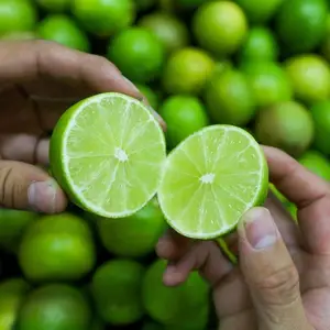 Оптовая продажа, свежий лайм без косточек/зеленый лимон от вьетнамского поставщика, высокое качество и низкая цена