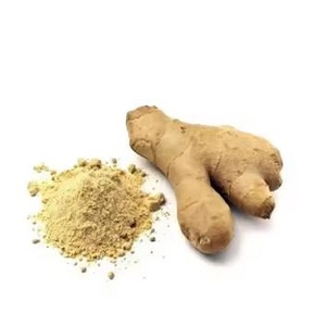 Poudre de gingembre instantanée en vrac directe d'usine bon prix extrait de plante sèche pure d'Inde pour la cuisson utiliser la poudre de gingembre - Product Image 1