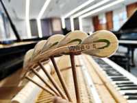 Yamahas G3E Black 88-Key Grand Piano Recording Hybrid Sound Weighted Hammer Keys Professional Studio Stage second hand
