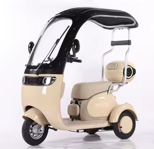 ¡GRAN OFERTA! Triciclos Eléctricos Deportivos de Tres Ruedas para Operador, Fabricados por [Nombre del Fabricante] - Product Image 1