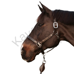 Harnais en cuir pleine fleur avec coutures crème réglables et boucles en acier inoxydable pour stabilité et voyage - Product Image 3