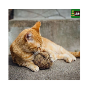 Jouet interactif pour chien en corde de chanvre pour animaux de compagnie/boule de coco en fibre de coco à mâcher pour animaux de compagnie en fibre de coco naturelle - Product Image 6