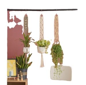 Modern Plant Hanger Customized Macrame Plant Hanger for <b>Wall</b> and Window Decoration - Product Image 1