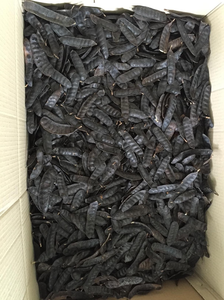 Aceite de extracto de hierbas Boket puro de langosta de miel salvaje/grado cosmético/altamente efectivo y natural/precio competitivo/hecho en Vietnam - Product Image 4