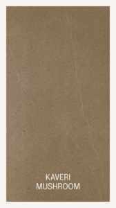 BuilderApproved Rectabricks 2x4 Fullbody Porcelana Cerámica Mosaico Azulejo Brillante Mate para Vestíbulo y paredes de recepción Característica del dormitorio - Product Image 2