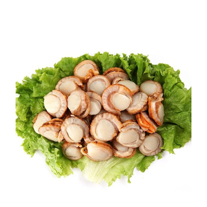 Vieiras Cocidas y Conservadas en Sal, Secas por Congelación, de Primera Calidad, para Compras al por Mayor con Entrega Rápida y Empaque Personalizado - Product Image 5