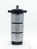 Lesili Hidrolik Dişli Pompası 6677829 6669649 Uyumlu Mini Ekskavatörler 320 322 323 320D 322G WH 5WHP3 5 HP 200 Bar 2900psi 1 Yıl Garantili