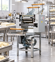 Machine automatique commerciale pour la fabrication de nouilles, extrudeuse de nouilles en acier inoxydable pour les restaurants, les cantines et les boulangeries