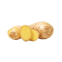 Gingembre-Un aliment polyvalent pour chaque cuisine