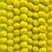 Décoration de mariage artificielle Marigold guirlande glands scène fête Mandap fleurs suspendues pour Diwali Festival événement célébrations