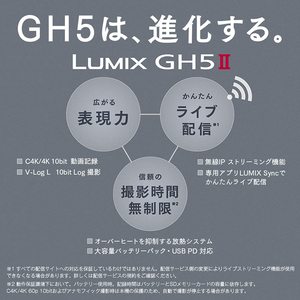 กล้องดิจิตอล DC-GH5M2 LUMIX 4K รุ่นเฉพาะตัวกล้อง (ไม่รวมเลนส์) รองรับการชาร์จผ่าน USB ราคาประหยัด กล้องมิเรอร์เลสพร้อมเซ็นเซอร์ HD และคุณสมบัติการถ่ายภาพ - Product Image 3