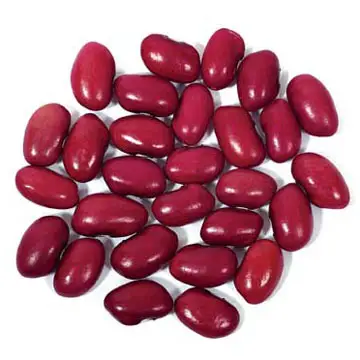 Granos de riñón rojos orgánicos, granos rojos secos de alta calidad