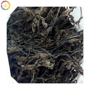 Gelatina de hierba de hierbas secas de alta calidad-Hojas de gelatina a granel al por mayor de Vietnam para exportar a fabricantes de alimentos - Product Image 1